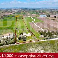 Terreno Agricolo Noto [cod. rif6042943VCG]