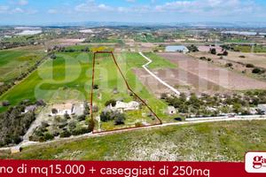 Terreno Agricolo Noto [cod. rif6042943VCG]