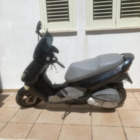 Leonardo 250