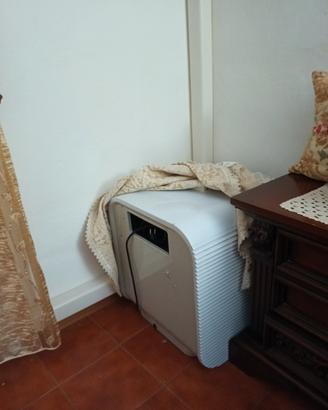 condizionatore portatile 