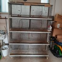 batteria di 4 gabbie con carrello