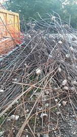 Ritiro gratuitamente ferro e metalli