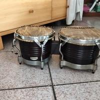 bongo