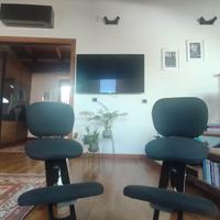coppia di sedie ergonomiche CINIUS con schienale 