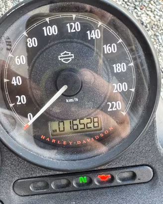 Harley 883