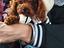 Immagine 3