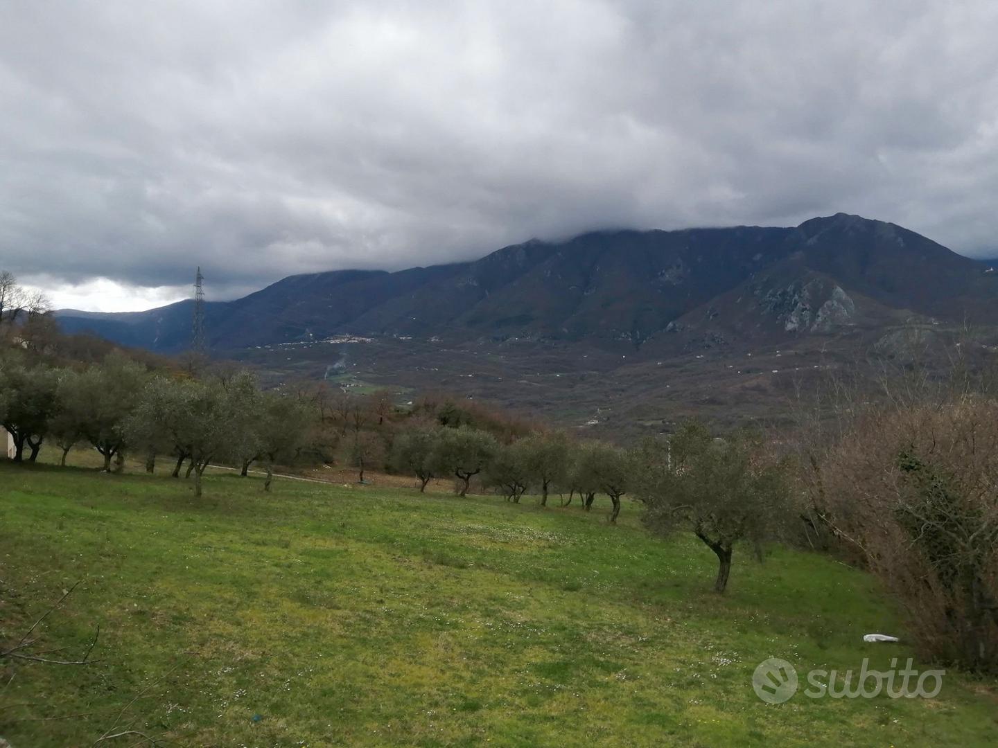 Casa all'interno di un uliveto - Vista 4