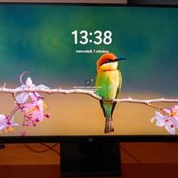 Monitor HP 27” pollici