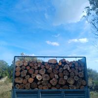 legna da ardere olivastro