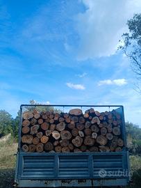 legna da ardere olivastro