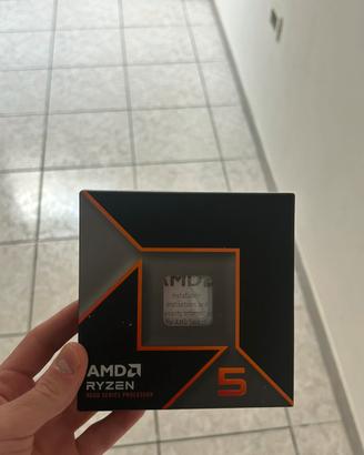 Ryzen 5 9600x