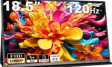 Monitor portatile 18.5