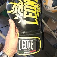 box guantoni e caschetto 