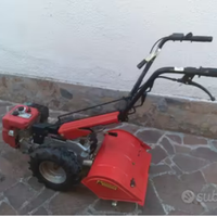 motocoltivatore carrarino 524