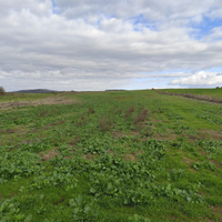 Terreno agricolo Chilivani