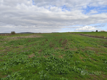 Terreno agricolo Chilivani