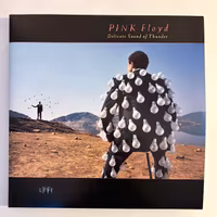 Pink Floyd – Delicate Sound of Thunder 2LP 2017