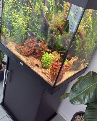 Acquario JUWEL LIDO 200