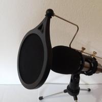 microfono professionale con filtro