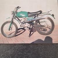 moto guzzi dingo cross 50