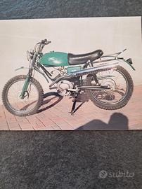 moto guzzi dingo cross 50