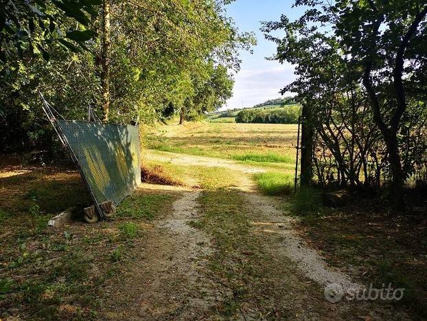 TERRENO AGRICOLO IN POSIZIONE PIANEGGIANTE!!