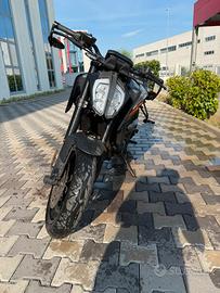 Duke 790