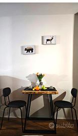 Monolocale ristrutturato arredato a Sestriere