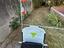Immagine 5