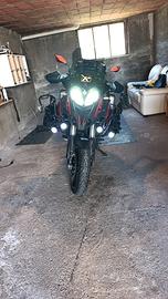 Benelli trk 502