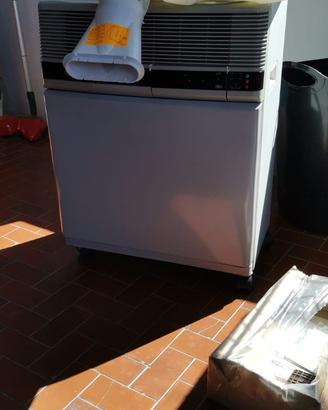 Pinguino De Longhi Climatizzatore
