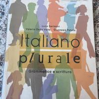 Italiano plurale - grammatica e scrittura