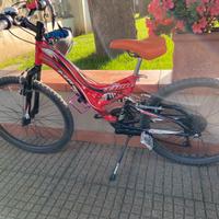 Mountain bike XMR Lion cambio shimano