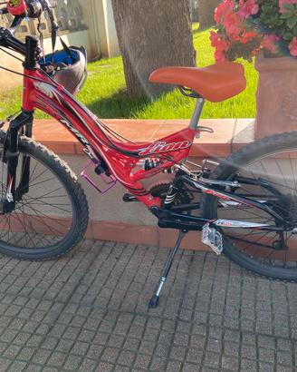 Mountain bike XMR Lion cambio shimano