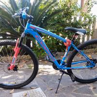 Bicicletta Mtb