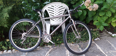 Mountain bike Parkpre