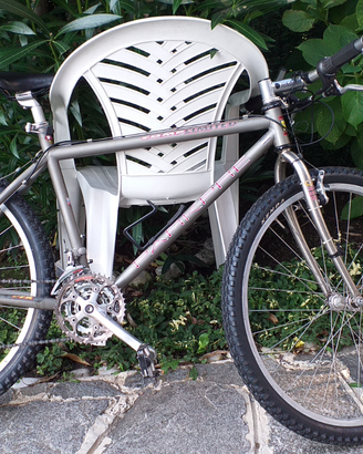 Mountain bike Parkpre