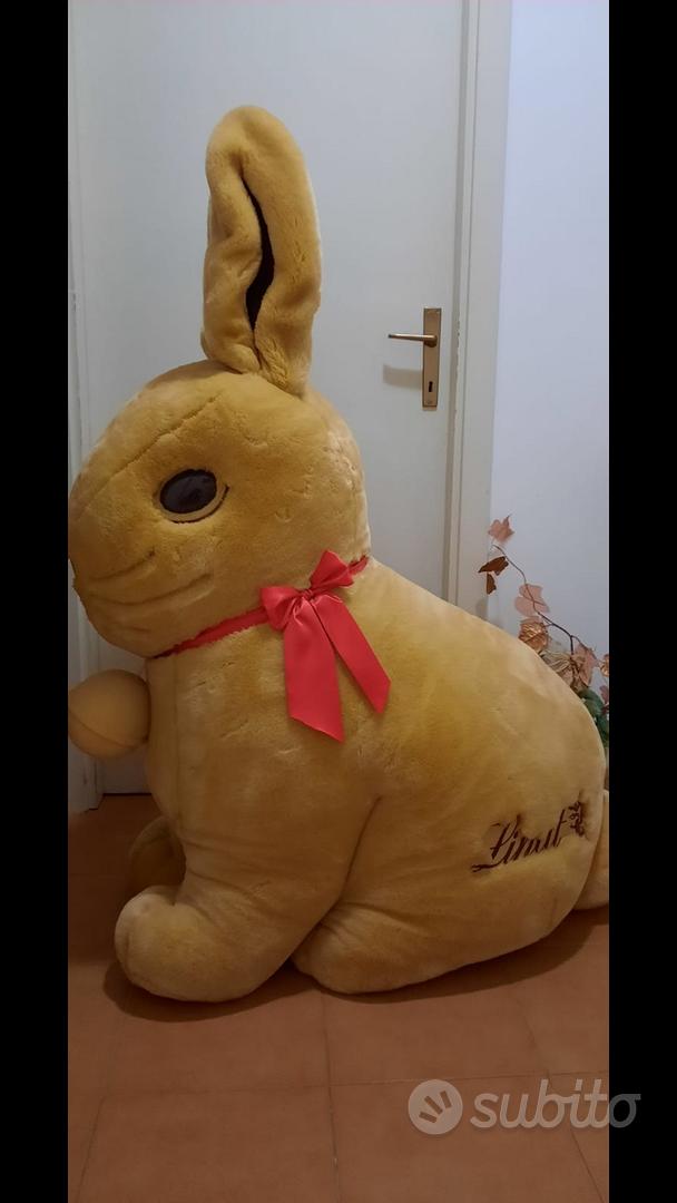 coniglio gigante - Tutto per i bambini In vendita a Pescara