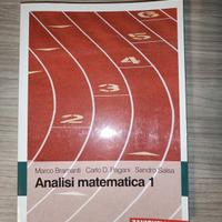 Libri analisi matematica 1 