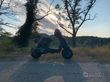 Zip sp 70 pista