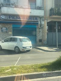 attivita di pescheria