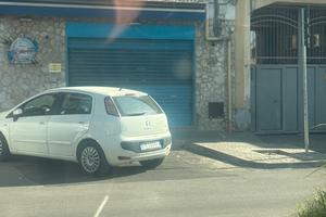 attivita di pescheria
