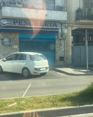 attivita di pescheria