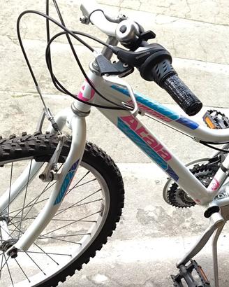 Atala mtb 22