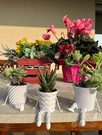 Vasi per piante grasse