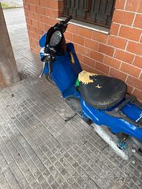 Scarabeo
