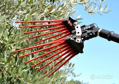 Abbacchiatore Lisam V8 Evo - Cardelli