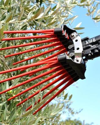 Abbacchiatore Lisam V8 Evo - Cardelli
