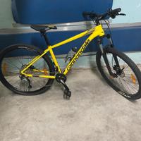 Bici Mountbike Cannondale