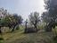 Immagine 29